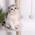 Cat Tree Scratch Post Kitten Post Cat Tree